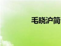 毛晓沪简介（毛晓珺简介）
