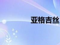 亚格吉丝（亚格斯帝简介）