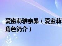 爱蜜莉雅亲昴（爱蜜莉雅-游戏《公主连结！Re:Dive》中的角色简介）