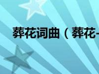 葬花词曲（葬花-王媛渊演唱的歌曲简介）