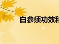 白参须功效和作用（白参须简介）