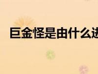巨金怪是由什么进化过来的（巨金怪简介）