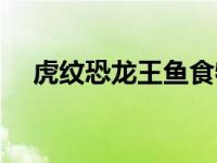 虎纹恐龙王鱼食物（虎纹恐龙王鱼简介）