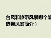 台风和热带风暴哪个破坏力大（台风布拉万-2018年第1号热带风暴简介）