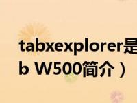 tabxexplorer是什么软件（Acer Iconia Tab W500简介）