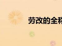 劳改的全称（劳改制度简介）