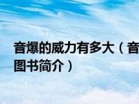音爆的威力有多大（音爆-2016年北京联合出版公司出版的图书简介）