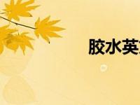 胶水英文（胶水简介）