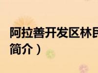阿拉善开发区林民（阿拉善经济开发区林业局简介）