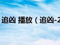 追凶 播放（追凶-2003年王熠执导电影简介）