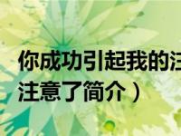 你成功引起我的注意了海报（你成功引起我的注意了简介）