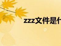 zzz文件是什么（zzz.exe简介）