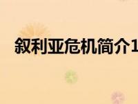 叙利亚危机简介100字（叙利亚危机简介）