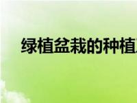 绿植盆栽的种植及培养（绿植盆栽简介）