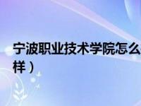 宁波职业技术学院怎么样排名如何（宁波职业技术学院怎么样）