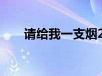 请给我一支烟2（请给我一支烟简介）