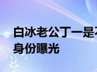 白冰老公丁一是不是双 丁一是同志吗富二代身份曝光