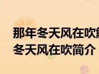 那年冬天风在吹解析（那年冬天风在吹-那年冬天风在吹简介）