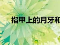 指甲上的月牙和健康有关吗是怎么回事
