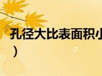 孔径大比表面积小（比表面积孔径分析仪简介）