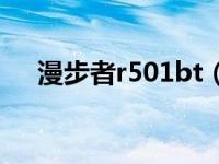 漫步者r501bt（漫步者R501T04简介）