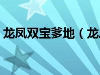 龙凤双宝爹地（龙凤邪宝之亲爹是软蛋简介）