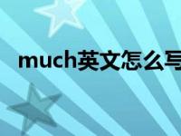 much英文怎么写（much-英文单词简介）