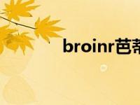 broinr芭蒂娜（芭蒂娜简介）