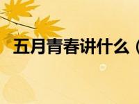 五月青春讲什么（五月烈火青春同人简介）