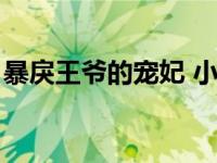 暴戾王爷的宠妃 小说（暴戾王爷的妾奴简介）