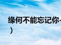 缘何不能忘记你-夕熙（缘何不能忘记你简介）