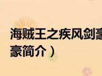 海贼王之疾风剑豪简介视频（海贼王之疾风剑豪简介）
