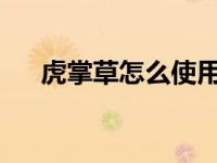 虎掌草怎么使用（虎掌草叶-中药简介）