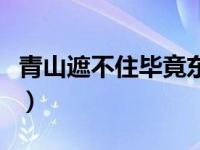 青山遮不住毕竟东流去用典（毕竟东流去简介）