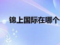 锦上国际在哪个位置（锦上国际区简介）