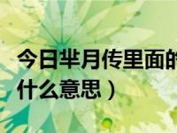 今日芈月传里面的芈姝（电视剧芈月传媵女是什么意思）