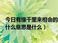 今日有缘千里来相会的下一句是（有缘千里来相会下一句是什么意思是什么）