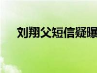刘翔父短信疑曝光 揭其和葛天离婚原因