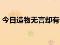 今日造物无言却有情意思（造物无言却有情）