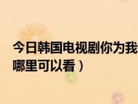 今日韩国电视剧你为我着迷在线观看（韩国电视剧你迷上我哪里可以看）