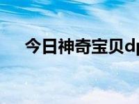 今日神奇宝贝dp特别篇（神奇宝贝dp）