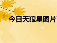 今日天狼星图片高清壁纸（天狼星图片）