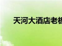 天河大酒店老板（天河酒店集团简介）