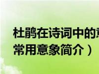 杜鹃在诗词中的意象（杜鹃-古诗词中的一种常用意象简介）