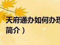 天府通办如何办理无犯罪记录证明（天府通办简介）