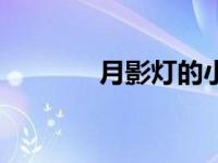 月影灯的小说（月影灯简介）