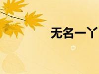 无名一丫（无名良品简介）