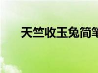 天竺收玉兔简笔画（天竺收玉兔简介）