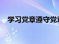 学习党章遵守党章贯彻党章维护党章简介
