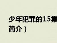 少年犯罪的15集电视剧（少年犯罪档案(03)简介）